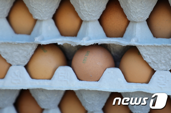 살충제 성분이 검출된 강원도 철원군 계란에 '08LNB'라고 적혀있다. © News1 황대원 기자