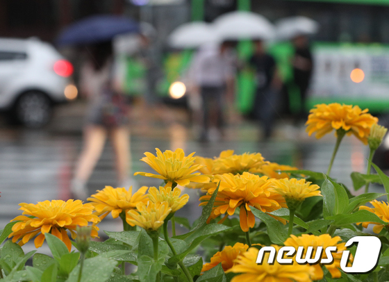 비가 내리자 우산을 쓴 시민들이 퇴근길을 재촉하고 있다.  © News1 신웅수 기자