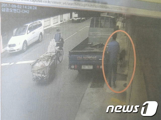 피의자 김모씨(54)가 도로에서 발견한 레브라도 리트리버를 차에 싣고 가려는 장면./사진=부산지방경찰청.뉴스1