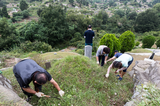  민족대명절 추석을 한 달여 앞둔 10일 조상묘소를 찾은 가족들이 벌초를 하고 있다./뉴스1