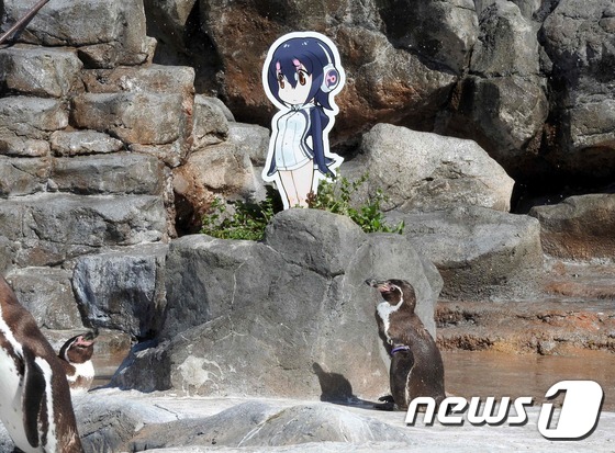 지난 4월 일본 사이타마현 도부동물공원 훔볼트 펭귄 그레이프가 만화 '케모노 프렌즈'의 캐릭터 '후루루'의 입간판을 바라보고 있다. /사진=AFP, 뉴스1
