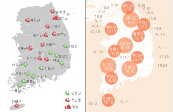 유명산 단풍현황(왼쪽), 전국 주요 산 '첫 단풍' 예상 시기 /자료=기상청(왼쪽), 웨더아이