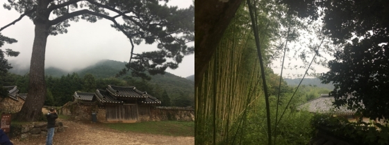 고산의 사당(왼쪽)과 녹우당에 우거진 숲(오른쪽)/사진=이경은 기자.