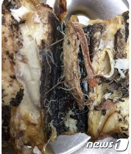 의정부시내 모 고교 급식 시간에 학생의 식판에서 발견된 고래회충/사진=뉴스1