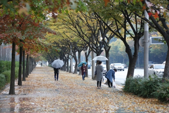 가을비가 내리고 있는 3일 오후 대구시 달서구 상화로에서 우산을 쓴 시민들이 발걸음을 재촉하고 있다./사진=뉴시스