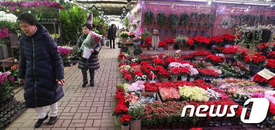 [사진]'분주한 꽃시장'