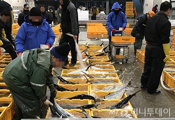 서울 동작구 노량진 수산시장에서 경매 관계자들이 활어 무게를 재고 있다. /사진=신현우 기자
