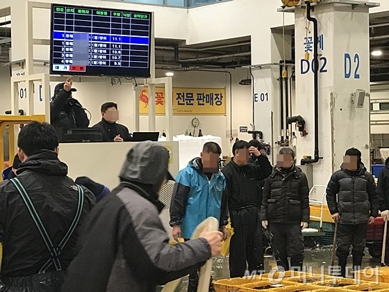 서울 동작구 노량진 수산시장에서 활어 경매가 진행되고 있다. /사진=신현우 기자