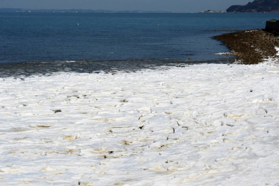 경남 남해군 이동면 인근 바닷가가 하얗게 얼어붙어 이색적인 모습을 보이고 있다. /사진=뉴시스