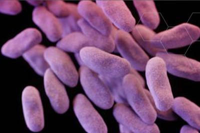 악몽의 박테리아로 불리는 슈퍼박테리아 중 하나인 CRE(카바페넴 내성 장내세균종). /사진=미 질병통제센터(CDC).