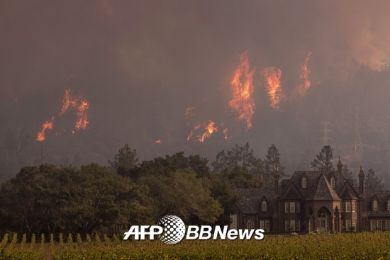 지난해 10월 미국 캘리포니아 켄우드 지역에 산불이 발생, 40여명이 사망하고, 5700여채의 건축물이 파손됐다. 렛슨 와이너리 뒤편으로 산불이 번지는 모습. /AFPBBNews=뉴스1