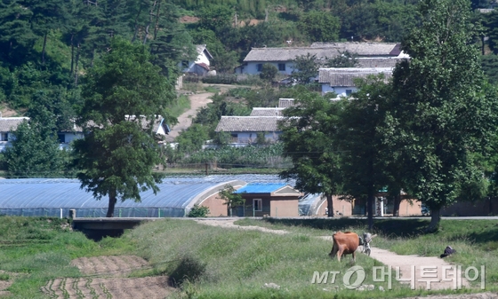 남북적십자회담이 열리고 있는 22일 오전 금강산으로 향하는 기자단 버스에서 바라본 북측 마을. /사진=뉴스1