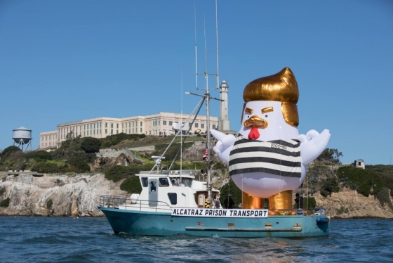 '트럼프 치킨'이 죄수복을 입고 22일(현지시간) 미국 샌프란시스코 인근 바다를 항해하고 있는 모습. /사진=트럼프 치킨 펀드레이저 홈페이지.