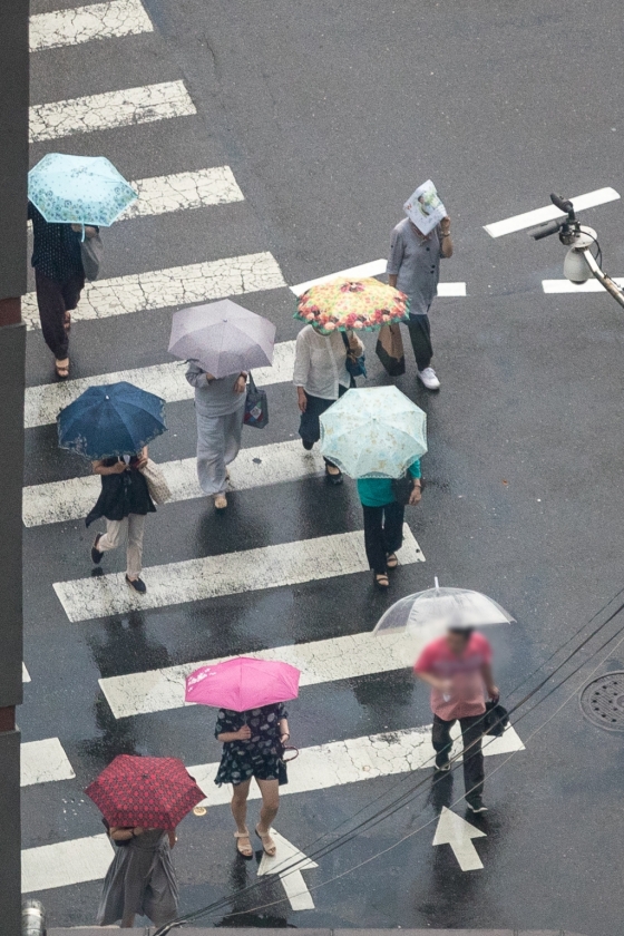 서울 종로구 한 거리에서 시민들이 우산을 쓰고 횡단보도를 지나고 있다./사진=뉴스1