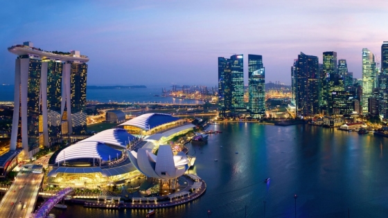 싱가포르 전경 /사진=visitsingapore 공식 홈페이지