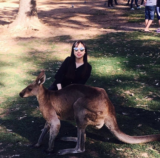 호주 브리즈번의 론파인 동물원. '세계 3대 동물원'이라고 불리기도 하며, 명성에 걸맞게 동물을 위한 드넓은 공간이 펼쳐져 있다. /사진=독자제공