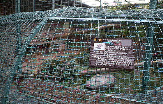 대전시 중구 사정동 동물원에서 퓨마 한 마리가 탈출해 사육장이 텅 비어있다. 2018.9.18 /사진=뉴스1 