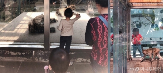 지난달 30일 찾은 대전의 한 동물원. 어린이 관람객들이 유리창을 발로 차거나 두드려 동물들을 놀래키고 있다. /사진= 유승목 기자