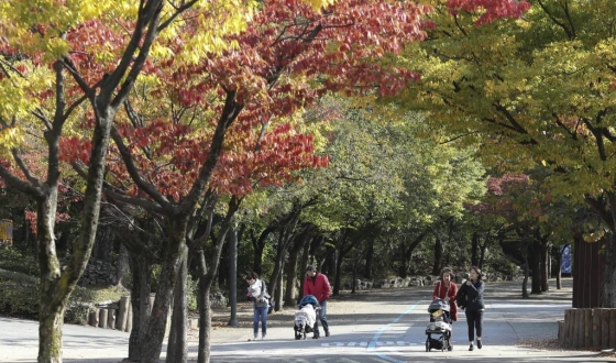 쌀쌀한 가을 날씨를 보이고 있는  11일 오후 경기도 과천 서울대공원 동물원을 찾은 시민들이 산책을 하고 있다. /사진=뉴시스