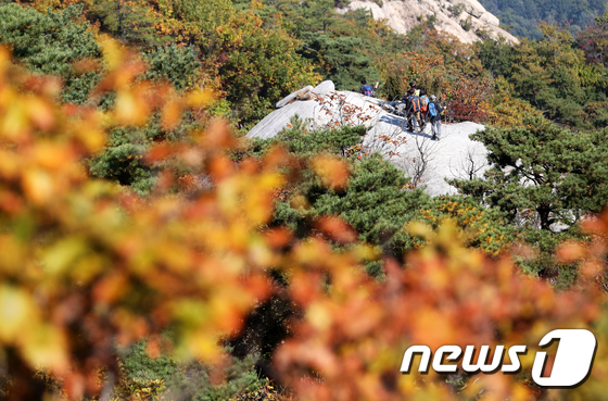 [사진]북한산 물들이는 가을단풍
