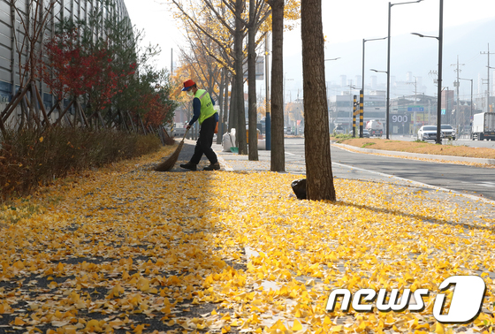 겨울로 접어들며 낙엽이 떨어지는 가운데 지난 15일 오전 경북 경산시에서 환경미화원이 거리에 떨어진 은행잎을 치우고 있다. /사진제공= 뉴스1