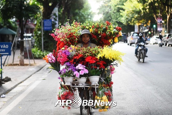지난달 21일, 베트남 하노이에서 한 여성이 판매용 꽃을 싣고 도로를 달리고 있다. /AFPBBNews=뉴스1