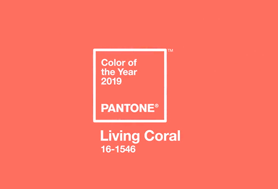 2019  ÷ ' ڶ'(Living Coral)/=(Pantone)