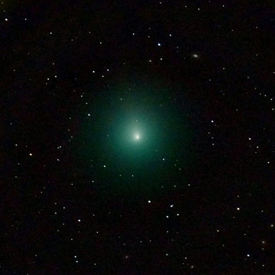 비르타넨 혜성(46P/Wirtanen)의 모습/AFPBBNews=뉴스1