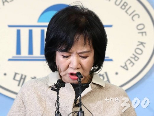  목포 부동산 투기의혹을 받고있는 더불어민주당 손혜원 의원이 20일 오전 서울 여의도 국회에서 기자회견을 갖고 있다./사진=홍봉진 기자