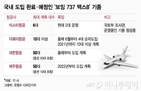 '보잉 737 맥스8' 잇따른 추락…국토부, 긴급 안전점검