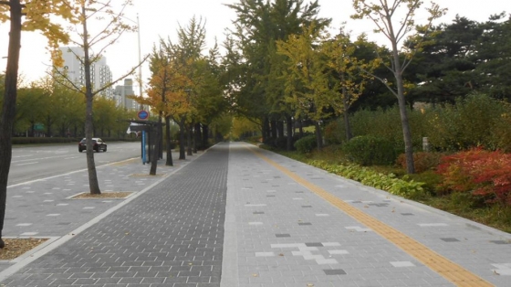 유모차와 휠체어 이동이 편한 도시…서울, 보도평탄화 262억 투입