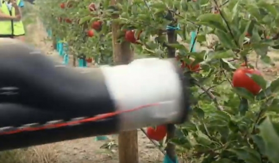 사과 따는 로봇, 세계 첫 등장 "진공청소기처럼…"