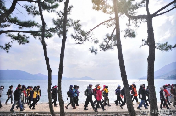 경남 남해군 남면 남해바래길 앵강다숲길을 걷는 관광객들의 모습. /사진=머니투데이DB