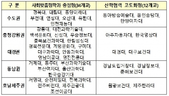 LINC+ 전문대학 1차 단계 평가  결과(교육부 제공)© 뉴스1