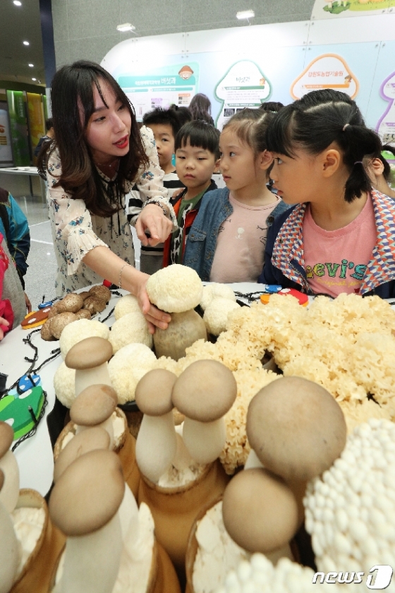 [사진] 버섯 설명듣는 어린이들