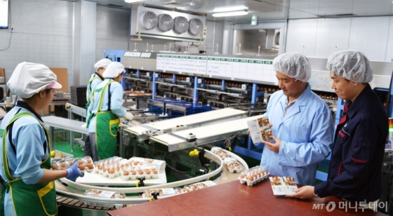 중소식품업체 '알로팜' 직원들이 수출용 계란을 포장하고 있는 모습 /사진제공=현대그린푸드