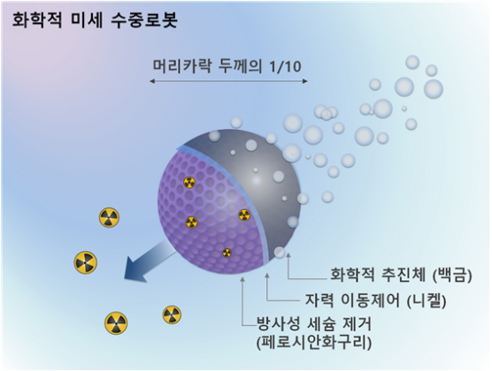 방사성 세슘 제거를 위한 화학적 미세 수중로봇 개념도./자료제공=한국원자력연구원