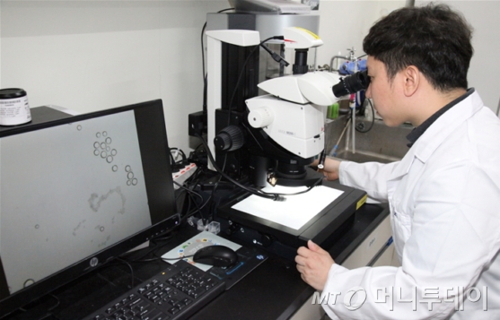 박찬우 박사가 미세수중로봇을 현미경으로 확인하고 있다./사진제공=한국원자력연구원