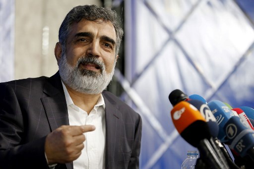 베루즈 카말반디 이란 원자력청 대변인/사진=AFP