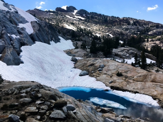 미국 캘리포니아주 요세미티 국립공원 고지대에 쌓여 있는 눈이 분홍빛을 띠고 있다. /사진=요세미티 국립공원 트위터