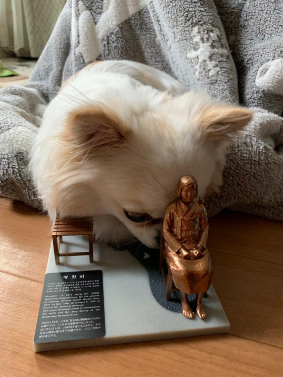일본 시민이 올린 강아지와 함께 있는 미니어처 소녀상 사진. /사진=작은 평화의 소녀상을 확산하는 캠페인 블로그 캡쳐