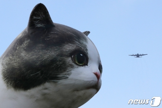 [사진] '거대 고양이의 습격?'
