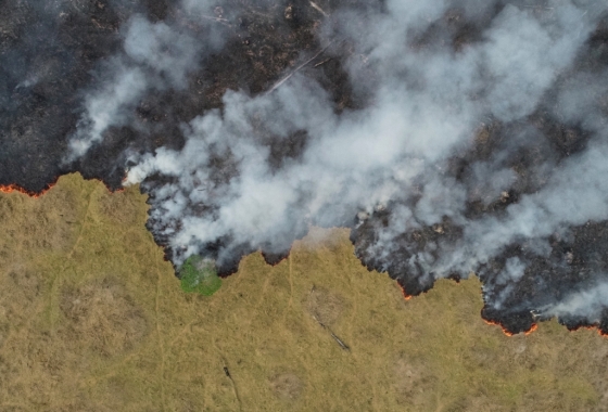 위성 사진으로 본 아마존 열대우림 화재. /사진=로이터