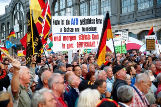 2일*현지시간) 독일 드레스덴에서 '독일을 위한 대안'(AfD) 주최로 열린 반이슬람 집회. /사진=AFP