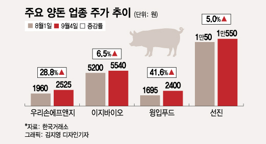 "돼지고기 가격 오른다" 기대감에 양돈업종 주가 상승세