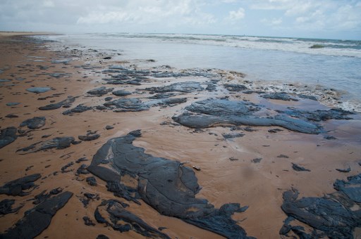 출처 불명의 기름 찌꺼기로 오염된 브라질 해안 /사진=AFP