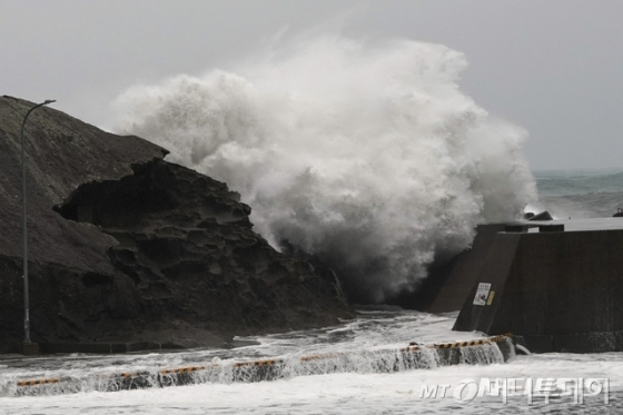 12일 일본 미에현 구마노항에 제19호 태풍 하기비스의 영향으로 대형 파도가 방파제를 때리고 있다./사진=AP(뉴시스)