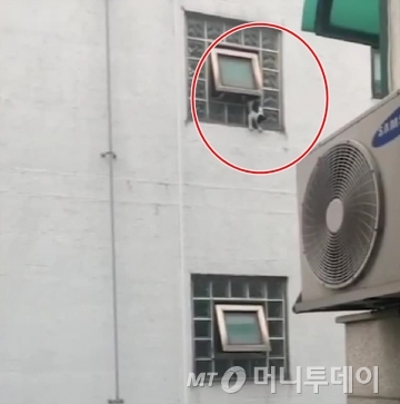지난 6일 서울 마포구 망원동 한 주택가 건물 5층 창문에서 고양이가 누군가에게 밀려 떨어지는 모습 /사진=나비네 제공
