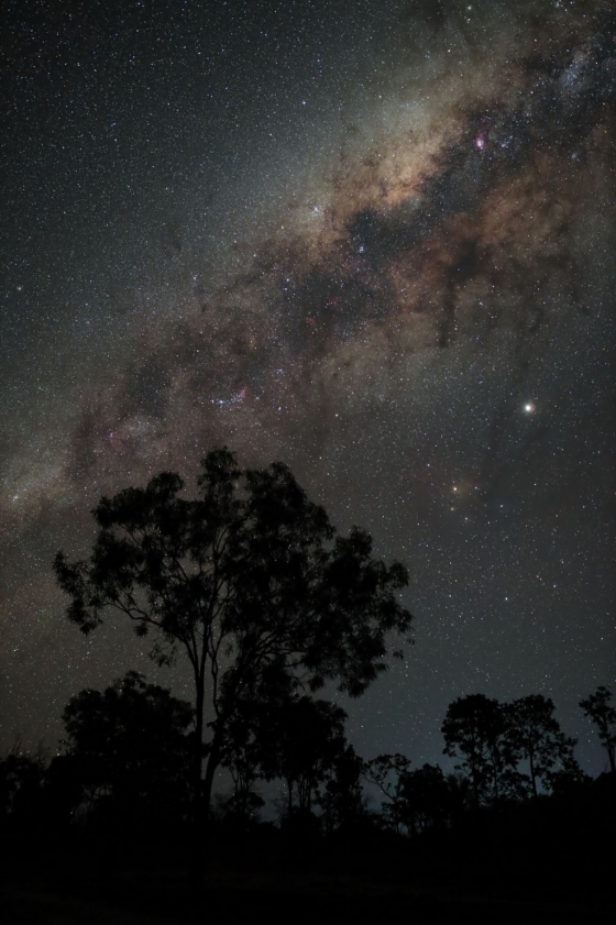 캐논 EOS Ra로 촬영된 밤하늘 별사진(보정된 사진) /사진=캐논