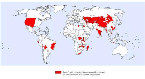 전 세계 페스트 발생위험지역 분포(2016년 3월 기준) /사진=세계보건기구(WHO)